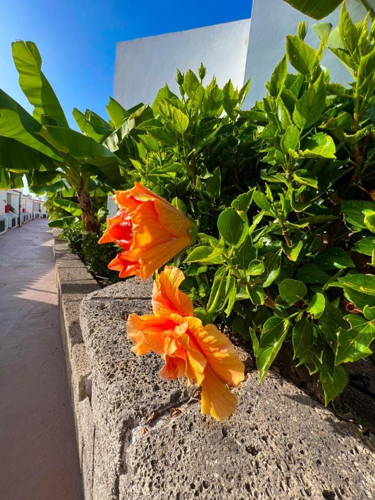 Apartament Malibu Blue أذيخي المظهر الخارجي الصورة